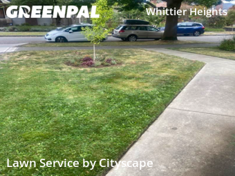 Yard Mowing nearby Seattle, WA, 