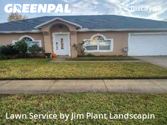 Yard Services in Jacksonville, 32218, Weed Trimming by Jim Plant Landscapin, work completed in Dec , 2025