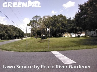 Lawn Mow nearby Mulberry, FL, 