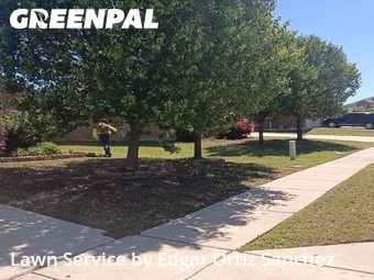 Lawn Care Service nearby Princeton, TX, 