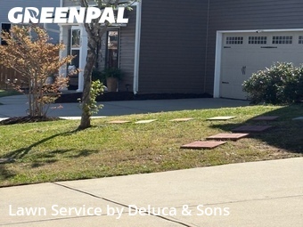 Grass Cutting nearby Greenville, SC, 