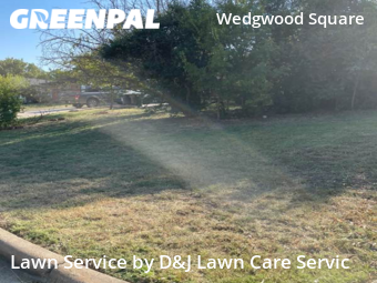 Lawn Mow nearby Fort Worth, TX, 