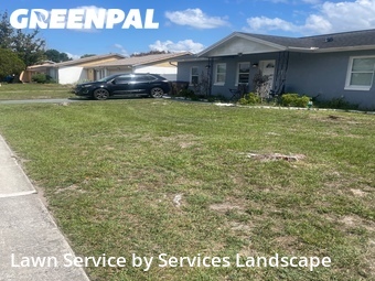 Lawn Mowin Kissimmee,34743,Yard Mowing by Services Landscape, work completed in Jun , 2026
