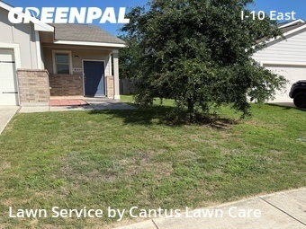 Yard Mowing nearby Converse, TX, 