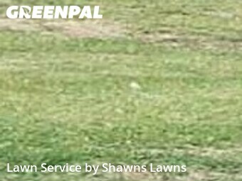Lawn Cut nearby Richardson, TX, 