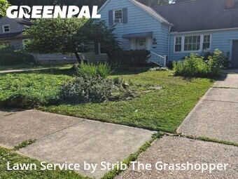 Grass Cut nearby Cleveland Heights, OH, 