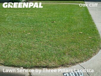 Grass Cut nearby Dallas, TX, 