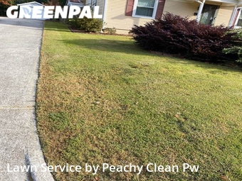 Lawn Cut nearby Carrollton, GA, 