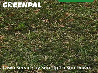Grass Cutting nearby Clearwater, FL, 