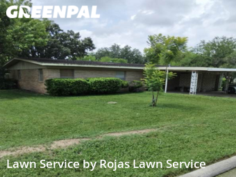 Grass Cut nearby San Juan, TX, 