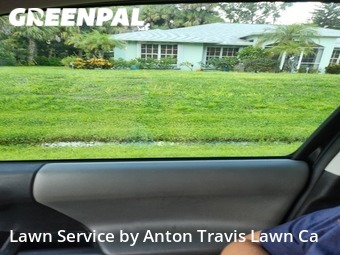 Lawn Cut nearby Englewood, FL, 
