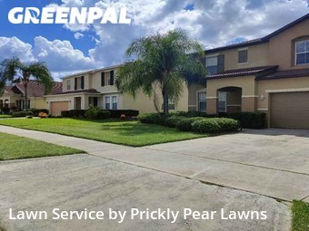 Lawn Cut nearby Winter Garden, FL, 