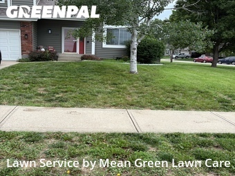 Lawn Cut nearby Blue Springs, MO, 