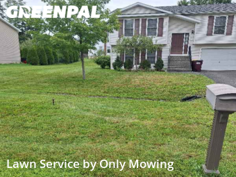 Grass Cutting nearby Albany, NY, 