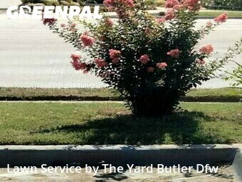 Lawn Maintenance nearby Euless, TX, 