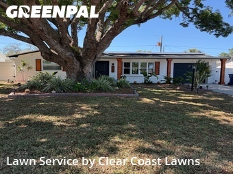 Lawn Cutting nearby Holiday, FL, 