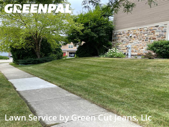 Lawn Cutting nearby Palatine, IL, 
