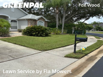 Lawn Care nearby Trinity, FL, 