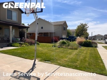 Lawn Cut nearby Harrisville, VA, 