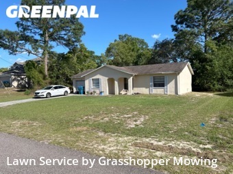 Lawn Care nearby Spring Hill, FL, 