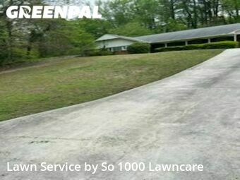 Lawn Cutting nearby East Point, GA, 