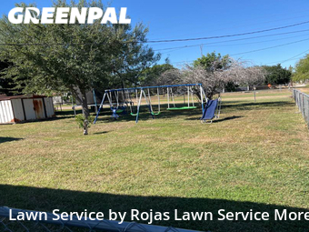 Lawn Care nearby Edinburg, TX, 