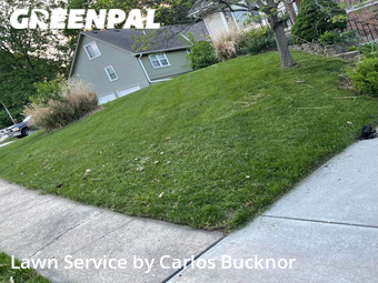 Yard Cutting nearby Lee's Summit, MO, 