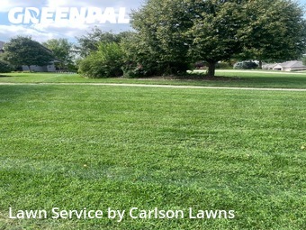 Lawn Cut nearby Gretna, NE, 