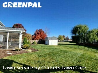 Yard Cutting nearby New Palestine, IN, 