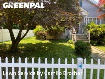 Lawn Cutting nearby Norwalk, CT, 