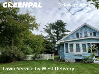 Weed Trimming in Albany, 12209, Yard Maintenance by West Delivery, work completed in Nov , 2025