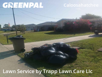 Lawn Mowing Service nearby Cape Coral, FL, 