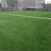 affordable-landscaping-maintenance-services-in-Tinley Park-IL