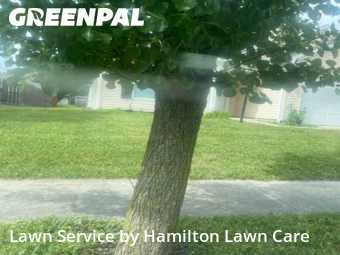 Grass Cutting nearby Noblesville, IN, 