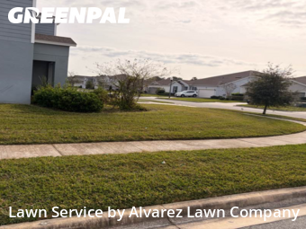 Yard Mowingin Apopka,32712,Grass Cutting by Alvarez Lawn Company, work completed in Feb , 2026