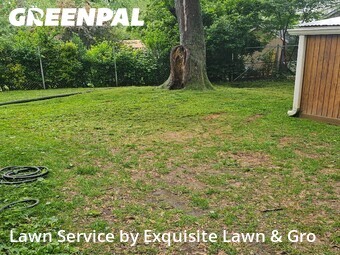 Lawn Mowing Service nearby Silver Spring, DC, 