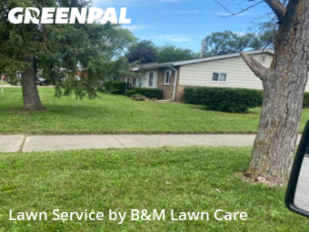 Yard Work in Calumet City, 60409, Yard Upkeep by B&M Lawn Care, work completed in Dec , 2025