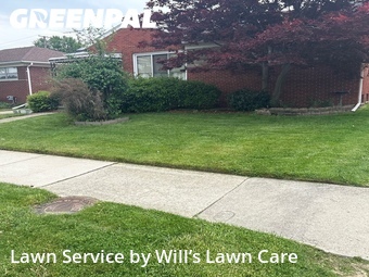 Grass Cut nearby St. Clair Shores, MI, 
