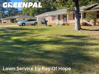 Lawn Cutting nearby Northport, AL, 