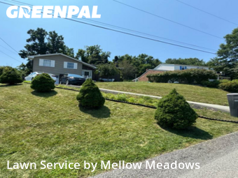 Lawn Maintenance nearby Washington, PA, 