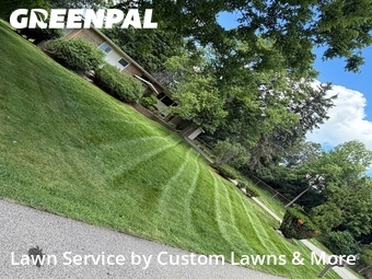 Lawn mowed in Novi, 48375