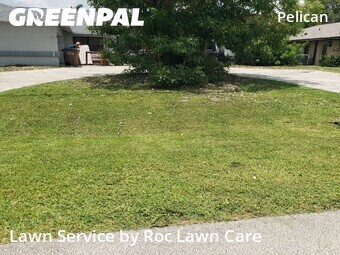 Lawn Care nearby Cape Coral, FL, 