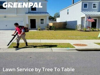 Lawn Mowing Service nearby Charleston, SC, 