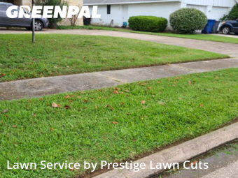 Yard Mowing nearby Spring, TX, 