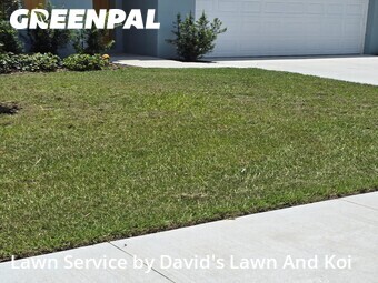 Lawn mowed in Eustis, 32726