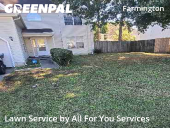 Lawn Care Service nearby Hampton, VA, 