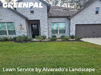 Lawn Cutin Porter,77365,Lawn Mowing Service by Alvarado's Landscape, work completed in Nov , 2025