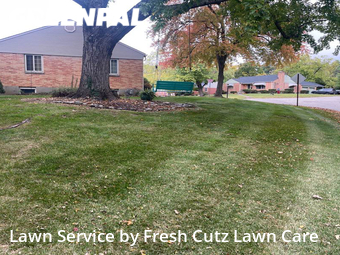 Grass Cut nearby Dayton, OH, 