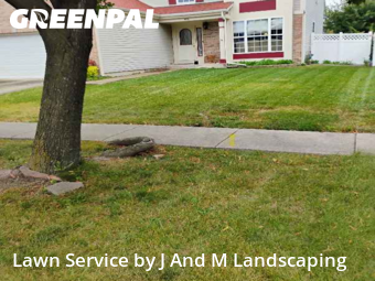 Lawn Cutting nearby Bolingbrook, IL, 