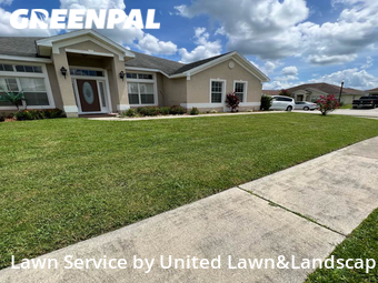 Grass Cut nearby Lakeland, FL, 